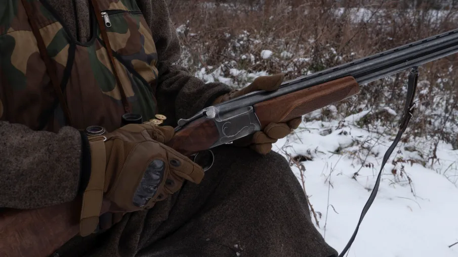 Для контроля популяции хищников в Нижегородской области в 2025 году охотники добыли 60 волков и 215 лисиц   